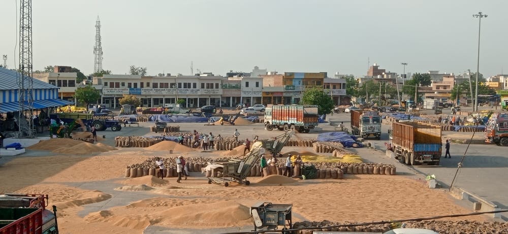 कुरुक्षेत्र। थानेसर अनाज मंडी में गेहूं की बोरियां ट्रक में लोड करता श्रमिक। संवाद कुरुक्षेत्र। थानेसर अनाज मंडी में गेहूं की बोरियां ट्रक में लोड करता श्रमिक। संवाद