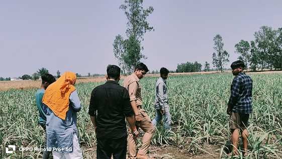 पूरनपुर क्षेत्र के गांव महादिया के पास संरक्षित पशु के अवशेष मिलने पर प्रदर्शन करते हिंदूवादी स पूरनपुर क्षेत्र के गांव महादिया के पास संरक्षित पशु के अवशेष मिलने पर प्रदर्शन करते हिंदूवादी स
