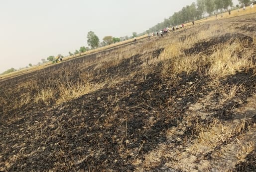 फोटो 08: सोनीपत के गांव न्यात में गेहूं की फसल में लगी आग पर काबू पाने का प्रयास करता दमकल कर्म