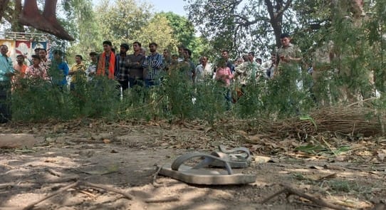 मृतक राजपाल का फाइल फोटो। स्रोत: परिजन मृतक राजपाल का फाइल फोटो। स्रोत: परिजन