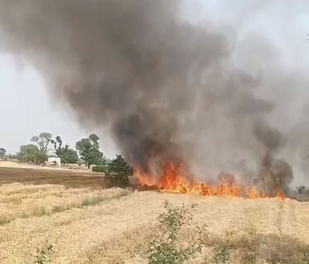 फोटो 12: सोनीपत के कामी रोड के पास हाईटेंशन लाइन के तारों में शॉर्ट सर्किट होने के चलते लगी आग 
