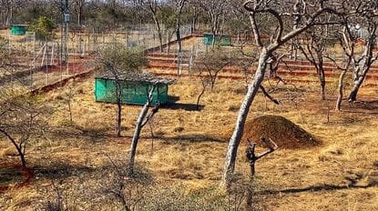 सीसीटीवी कैमरों की मदद से की जाएगी निगरानी