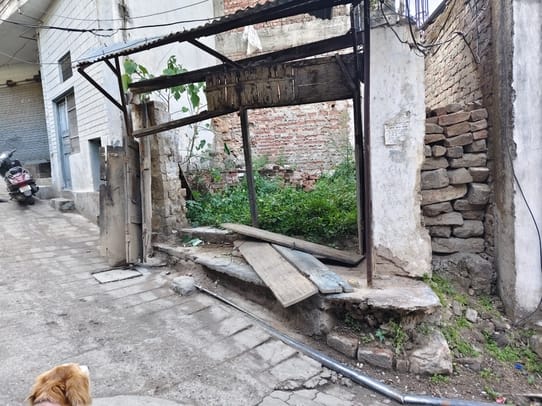शाहपुर वोह सड़क पर गिरा पेड़। स्रोत: पाठक शाहपुर वोह सड़क पर गिरा पेड़। स्रोत: पाठक