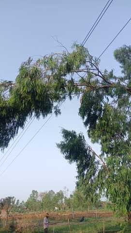 शहर के मोहल्ला पकड़िया में गिरी मकान की दीवार। स्रोत मोहल्ले वासी