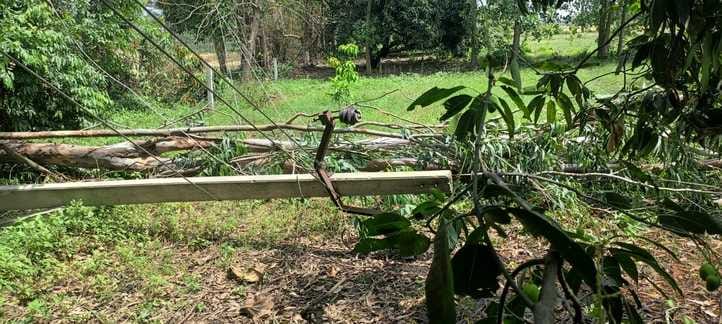 शहर के मोहल्ला पकड़िया में गिरी मकान की दीवार। स्रोत मोहल्ले वासी