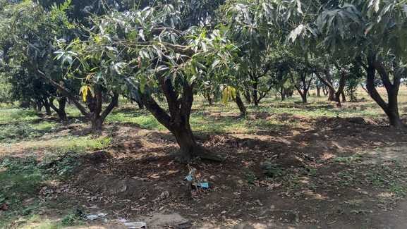 शहर के मोहल्ला पकड़िया में गिरी मकान की दीवार। स्रोत मोहल्ले वासी