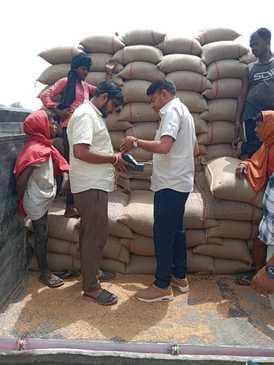 रेवाड़ी अनाज मंडी में चल रहा फसल का उठान कार्य। संवाद