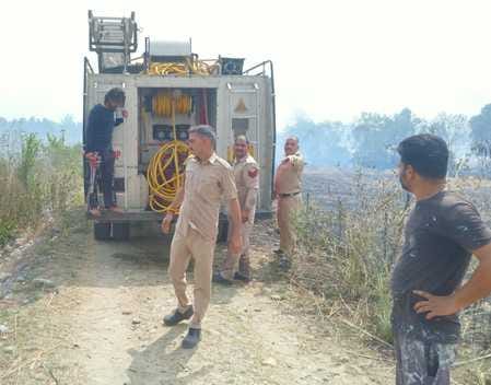 गोदपुर बनेहड़ा में राख हुई गेहूं की फसल। स्रोत स्वयं