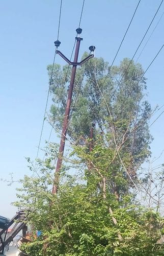 संजू ,लभारी संजू ,लभारी