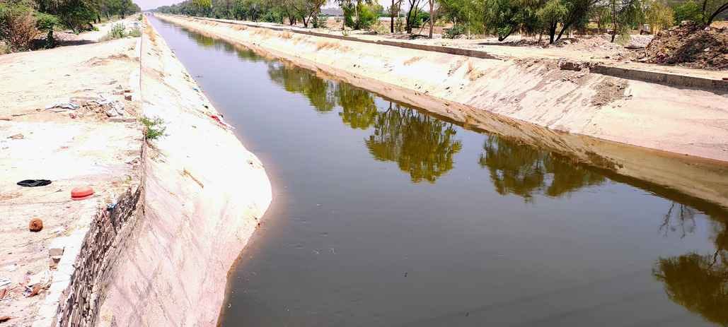 गंगनहर में रविवार को आया काला दूषित पानी