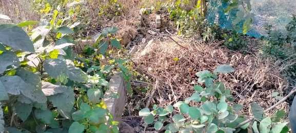 रहमतपुर सरकारी नलकूप का हाल। संवाद रहमतपुर सरकारी नलकूप का हाल। संवाद