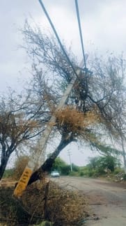 फोटो :17: सोनीपत के सांदल के पास टूटकर सड़क पर गिरे पेड़ से बचकर निकलते बाइक सवार। संवाद फोटो :17: सोनीपत के सांदल के पास टूटकर सड़क पर गिरे पेड़ से बचकर निकलते बाइक सवार। संवाद