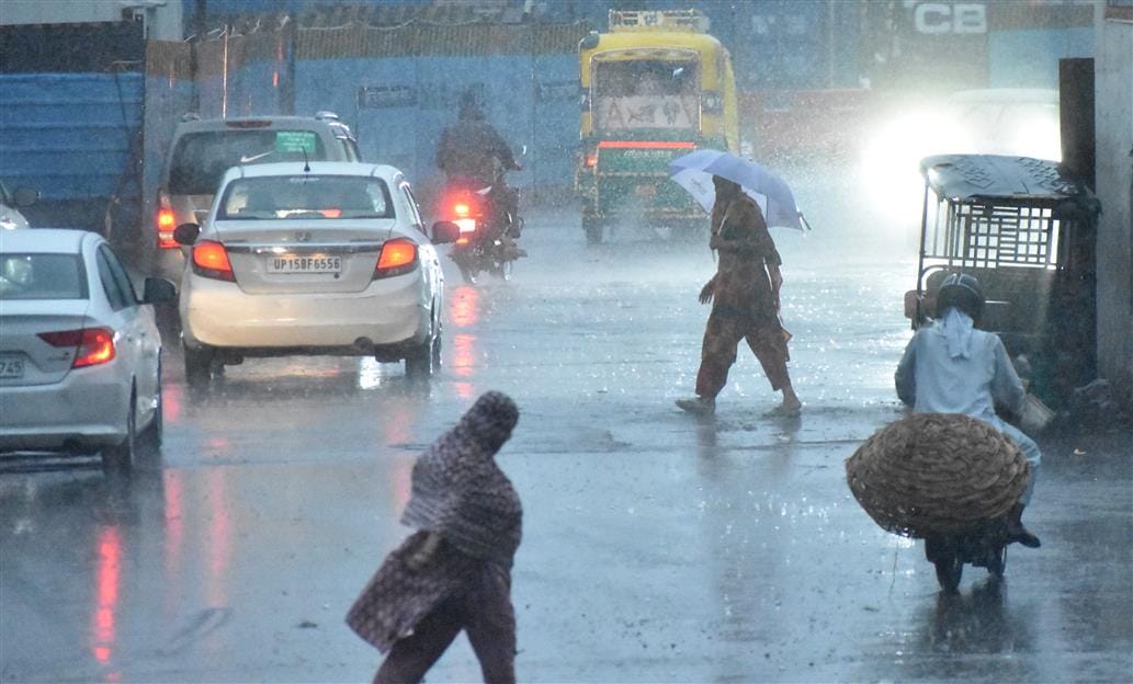 मेरठ-----दौराला में बारिश के बाद गेहूं के खेत में भरा पानी को दिखाता किसान नवाब सिंह मेरठ-----दौराला में बारिश के बाद गेहूं के खेत में भरा पानी को दिखाता किसान नवाब सिंह