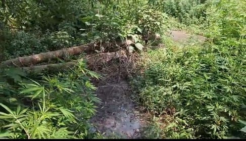 डुग्घा के नजदीक जल शक्ति विभाग की ओर से बनाया गया सीवरेज का वेटवेल। स्रोत : जागरूक पाठक डुग्घा के नजदीक जल शक्ति विभाग की ओर से बनाया गया सीवरेज का वेटवेल। स्रोत : जागरूक पाठक