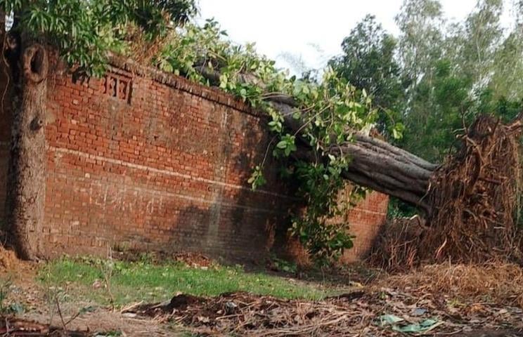 फखरपुर में बारिश के बाद मार्ग पर भरा पानी। फखरपुर में बारिश के बाद मार्ग पर भरा पानी।