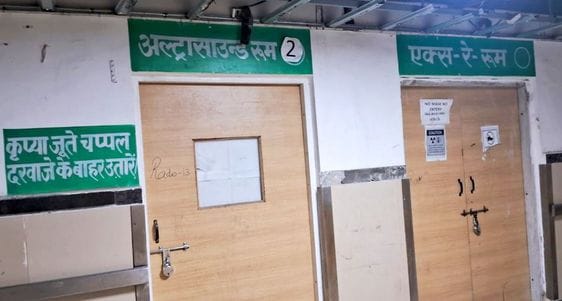 जैतून।