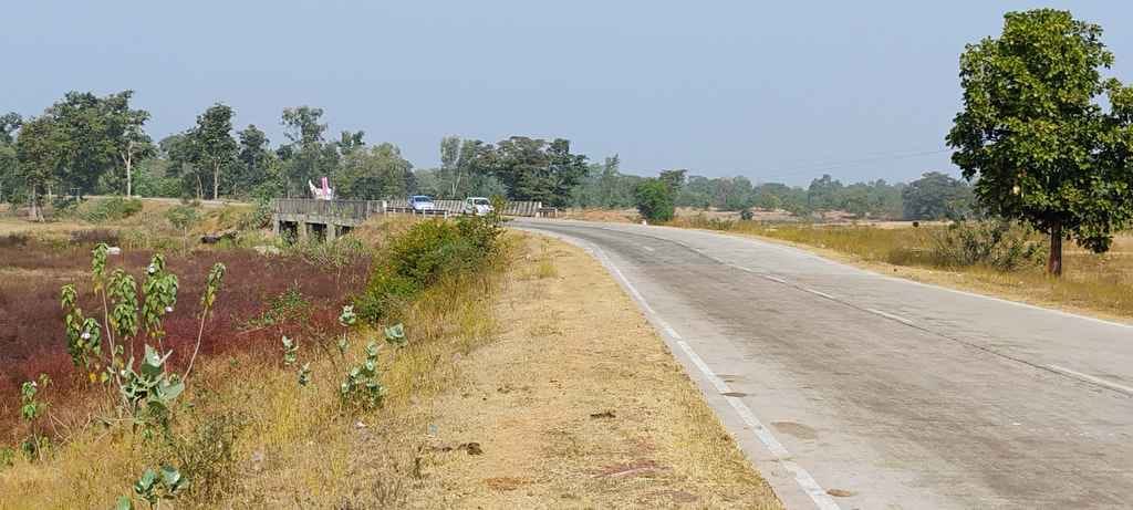 दमोह जिले से होकर गुजरने वाला जंगली क्षेत्र