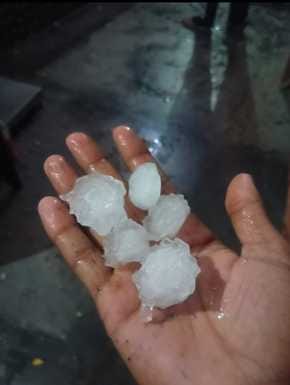 आंधी में पूरनपुर - कलीनगर मार्ग पर गिरा पेड़- राहगीर