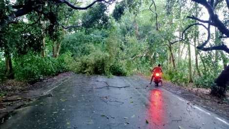 बारिश से तर हुईं सड़कें। ग्रामीण बारिश से तर हुईं सड़कें। ग्रामीण