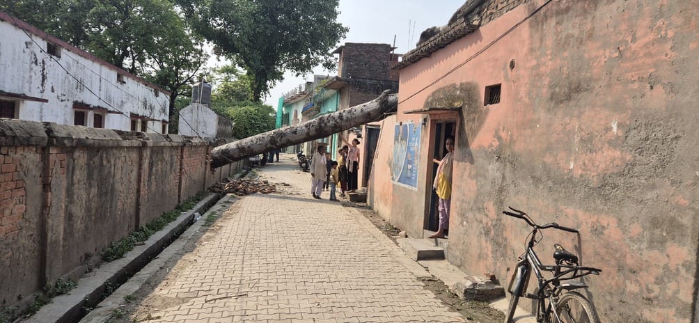 छेदुई पतिया फॉर्म में घटना के बाद मौके का निरीक्षण करते एसडीएम राजीव निगम।संवाद छेदुई पतिया फॉर्म में घटना के बाद मौके का निरीक्षण करते एसडीएम राजीव निगम।संवाद