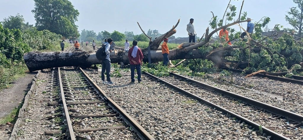 पलिया-भीरा मार्ग पर गिरे पेड़ से बाधित हुआ यातायात। संवाद पलिया-भीरा मार्ग पर गिरे पेड़ से बाधित हुआ यातायात। संवाद