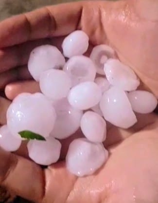 देर शाम हुई बारिश व ओलावृष्टि ने थाम दी रफ्तार। (मवाना)