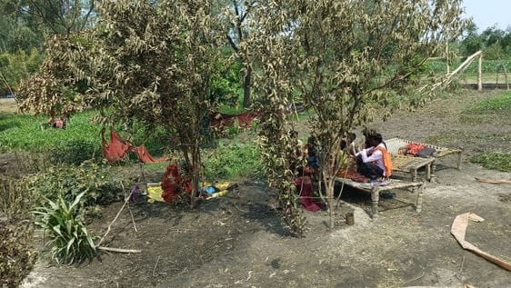 जरीफनगर के गांव सोन बूढ़ी में आग से जली घर में रखी लहसुन की फसल। संवाद