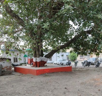 आचार्य लव कुश अवस्थी। आचार्य लव कुश अवस्थी।