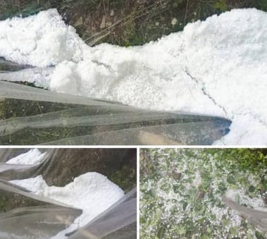 जगातखाना के पास सरकारी डिपू में पानी घुसने से खराब हुआ आटा चावल और अन्य साम्रगी। संवाद जगातखाना के पास सरकारी डिपू में पानी घुसने से खराब हुआ आटा चावल और अन्य साम्रगी। संवाद