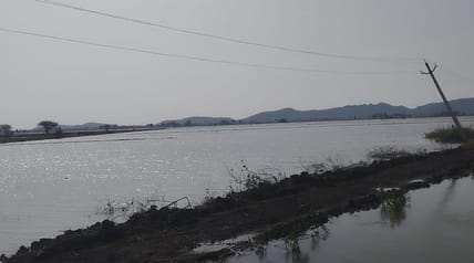 ग्राम बरौल में माइनर ओवरफ्लो होने से खेतों में भरा पानी