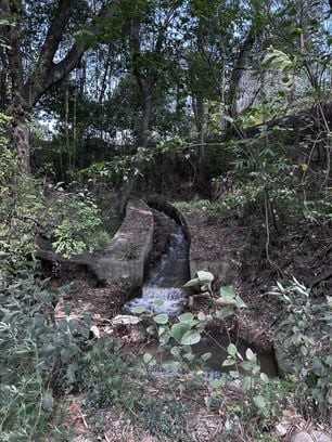 कोयल में सिंचाई कूहल को दूरूस्त करने में लगे ग्रामीण। स्त्रोत जागरूक पाठक