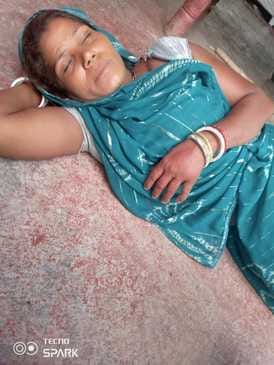 मधुमक्खियों के हमले में घायल लोग