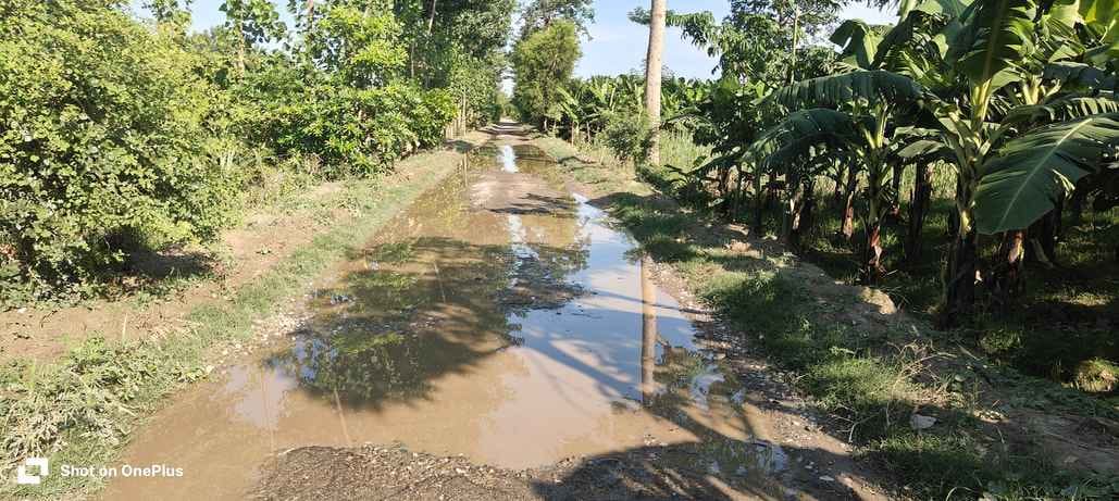 तिकुनिया मेले में बारिश से हुआ जलभराव। संवाद