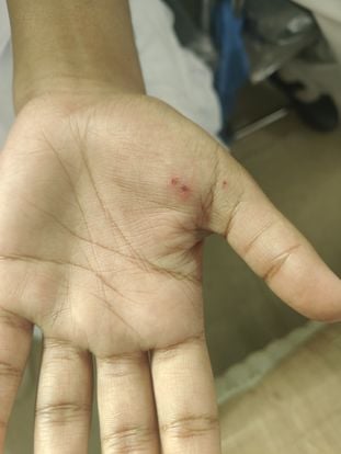 फोटो 04- सोनीपत के मुरथल अड्डा स्थित पीएमश्री राजकीय कन्या वरिष्ठ माध्यमिक विद्यालय में प्राचार फोटो 04- सोनीपत के मुरथल अड्डा स्थित पीएमश्री राजकीय कन्या वरिष्ठ माध्यमिक विद्यालय में प्राचार