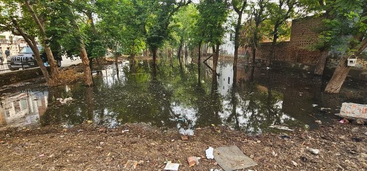29जेएनडी03: सेक्टर 11 की ग्रीन बेल्ट में ठहरे पानी की निकासी की मांग को लेकर एकजूट हुए सेक्टरवा