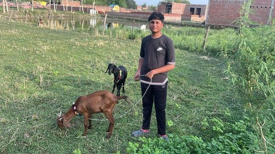 हाफिज हाशिम। स्रोत: स्वयं हाफिज हाशिम। स्रोत: स्वयं