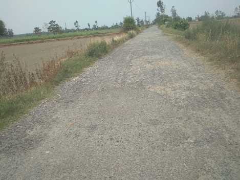 पिपरिया नवदिया जाने वाला जर्जर मार्ग। संवाद पिपरिया नवदिया जाने वाला जर्जर मार्ग। संवाद