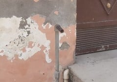 मीना देवी, अब्दुल्लागंज। संवाद मीना देवी, अब्दुल्लागंज। संवाद