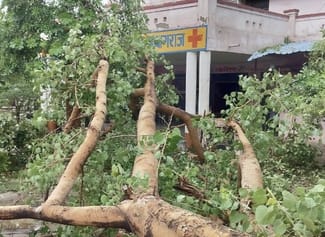फूलपुर प्रतापपुर मार्ग पर आंधी व बारिश में सड़क पर गिरा पेड़ व लगा जाम। फूलपुर प्रतापपुर मार्ग पर आंधी व बारिश में सड़क पर गिरा पेड़ व लगा जाम।