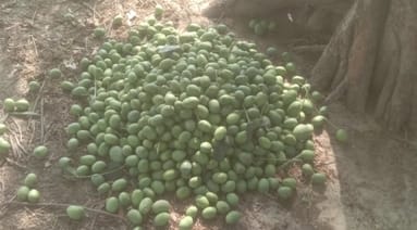 फूलपुर प्रतापपुर मार्ग पर आंधी व बारिश में सड़क पर गिरा पेड़ व लगा जाम। फूलपुर प्रतापपुर मार्ग पर आंधी व बारिश में सड़क पर गिरा पेड़ व लगा जाम।