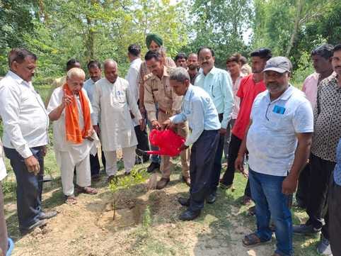 कलीनगर में पौधारोपण करते ईओ एजाज अहमद।  संवाद