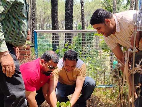 समीरपुर में पौधरोपण करते पूर्व मुख्यमंत्री धूमल। पार्टी।