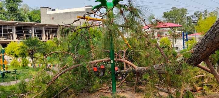 महाराणा प्रताप पार्क में झूले व ओपन एयर जिम पर गिरा चीड़ का पेड़। संवाद महाराणा प्रताप पार्क में झूले व ओपन एयर जिम पर गिरा चीड़ का पेड़। संवाद