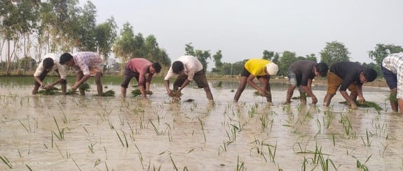 बृहस्पतिवार शाम को शहर में छाए काले बादल। संवाद बृहस्पतिवार शाम को शहर में छाए काले बादल। संवाद