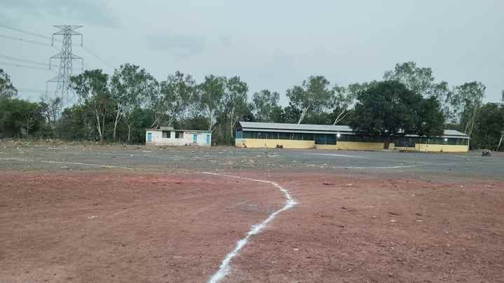 निर्माण में डला चूना