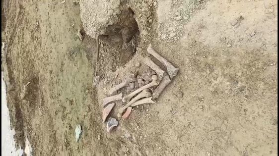 22 जेएनडी13: देवरड़ गांव में कंकाल दिखाते हुए मनरेगा मजदूर। संवाद