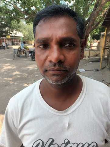 मंडी परिसर में खराब सब्जियों को खाता गोवंश। संवाद मंडी परिसर में खराब सब्जियों को खाता गोवंश। संवाद