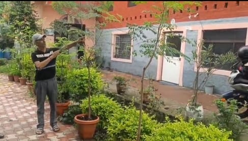 लाहलड़ी निवासी प्रगतिशील किसान परविंद्र कुमार ड्रमस्टिम की फलियों को दिखाते हुए। स्रोत: जागरूक लाहलड़ी निवासी प्रगतिशील किसान परविंद्र कुमार ड्रमस्टिम की फलियों को दिखाते हुए। स्रोत: जागरूक