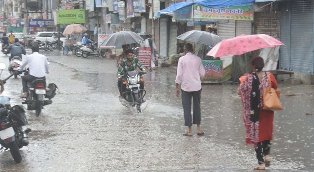 मूसलाधार बारिश से लबालब हुए खेत। संवाद