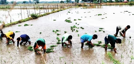 रविवार को हुई हल्की बारिश के दौरान खिरनीबाग चौराहे पर भीगी सड़कें। संवाद रविवार को हुई हल्की बारिश के दौरान खिरनीबाग चौराहे पर भीगी सड़कें। संवाद